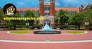 Las Mejores Universidades De Florida En Este Año 2023 | Empleos O Negocios