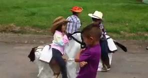 Disfraz de caballos para niños