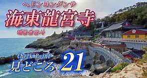 【🇰🇷韓国#1-7】海東龍宮寺 完全ガイド 見どころ21ヶ所をご紹介 夫婦旅