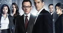 Person of Interest - streaming tv show online