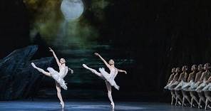 Insights: The Royal Ballet in Rehearsal - Swan Lake