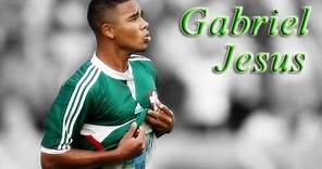 Gabriel Jesus ● Magic Skills ● Palmeiras ● 2014-2015 |HD|