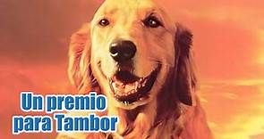 Un premio para Tambor (2000) | Película Completa en Español | Ron Perlman | Randy Travis