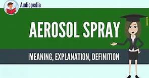 What Is AEROSOL SPRAY? AEROSOL SPRAY Definition & Meaning