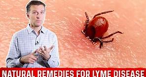 Lyme Disease Natural Remedies and Treatment – Dr. Berg