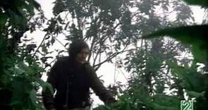 Gorilas en la Niebla - Las Imágenes Perdidas de Dian Fossey - Documental Completo