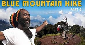 Blue Mountain PEAK! Highest Man in Jamaica!