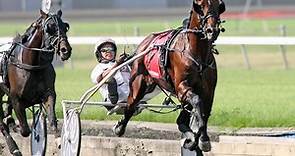 9 fascinating things I learned about harness racing