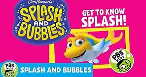 SPLASH AND BUBBLES | Meet Splash! | PBS KIDS