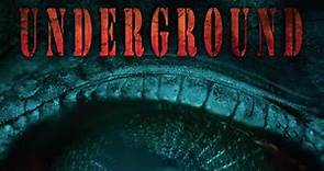 The Underground (2011) | Full Movie | Jacob D. Woody | Sofia Pernas | Adrian R'Mante