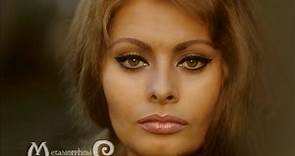 Metamorphosis of Sophia Loren