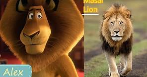Madagascar Characters In Real Life With Their Breed Names.