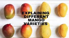 Explaining Different Mango Varieties