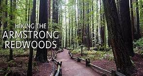 Armstrong Redwoods State Natural Reserve: Hiking the Pioneer Nature Trail