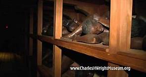 Video Overview of the Charles H. Wright Museum of African American History