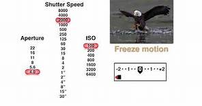 How to Pick the Best Aperture, Shutter Speed and ISO Settings with John Greengo | CreativeLive