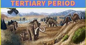 What is Tertiary period? | Tertiary period