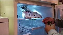 Octember (Pt. 3) Kenmore Coldspot Refrigerator Fail
