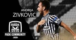 Andrija Zivkovic | Serbian Messi | PAOK FC | 2020/21