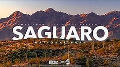 SAGUARO National Park 8K Arizona (Visually Stunning Tour)