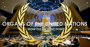 Organs of the United Nations | How the UN functions