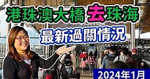 2024香港港珠澳大橋去珠海最新過關情況