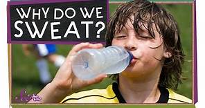 Why Do We Sweat? | Sports Science | SciShow Kids