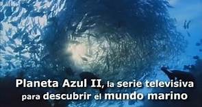 Planeta Azul II, la serie televisiva para descubrir el mundo marino