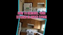 DIY Kitchen Remodel in under $200!!