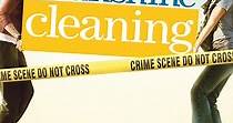 Sunshine Cleaning streaming: where to watch online?