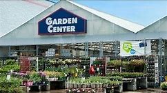 Lowe’s Garden Center. Spring Inventory Lowe’s Home Improvement NYC |Come Shop With Me AT LOWE'S 2023