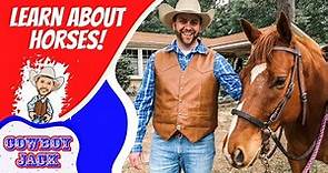 Learn about Horses | Cowboy Jack | Educational Videos for Kids
