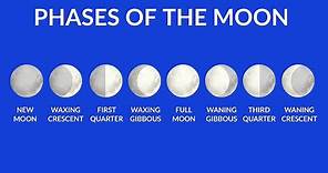 Phases of the Moon | Understanding Moon Phases | Video for kids