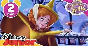 La Princesa Sofía: Olaf salva el día | Disney Junior Oficial