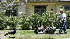 6 Tips for Smooth Lawn Mower Maintenance