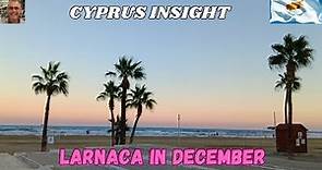 Unveiling the enchanting beauty of Larnaca Cyprus in December.