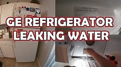 How to Fix #GE #Refrigerator Leaking Water | Model GTS18HCMFRWW