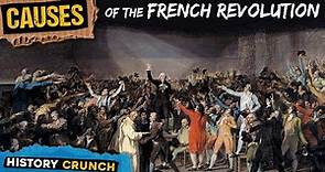 Causes of the French Revolution - Video Infographic