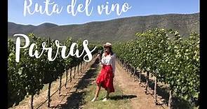 ¡Viaje al mundo del vino en México! Parras de la fuente