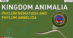 Kingdom Animalia: Phylum Nematoda and Phylum Annelida | Biology | iKen | iKen Edu | iKen App