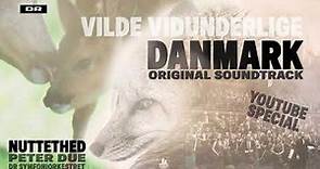 Vilde vidunderlige Danmark - Nuttethed // DR SymfoniOrkestret (YouTube Special)