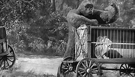 Mighty Joe Young (1949) Fights Lion & More!