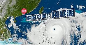 颱風災害：風暴潮