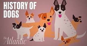 The Origin of Dogs