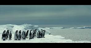 La Marcia dei Pinguini: Il Richiamo, Il trailer italiano del film - HD - Film (2017)