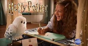 🧙‍♂️ HARRY POTTER - El Encantador Hedwig 🦉