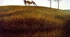 El prado / The Field (1990) Online - Película Completa en Español - FULLTV
