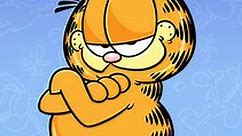 Garfield and Friends: Season 1 Episode 7 Weighty Problem/Good Cat, Bad Cat