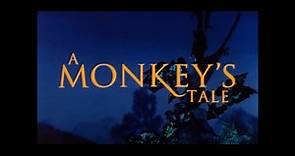 A Monkey's Tale Trailer (SD version)