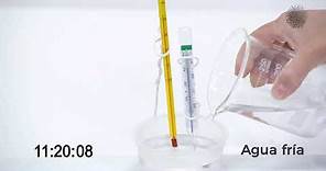 Termómetro de laboratorio y termómetro clínico